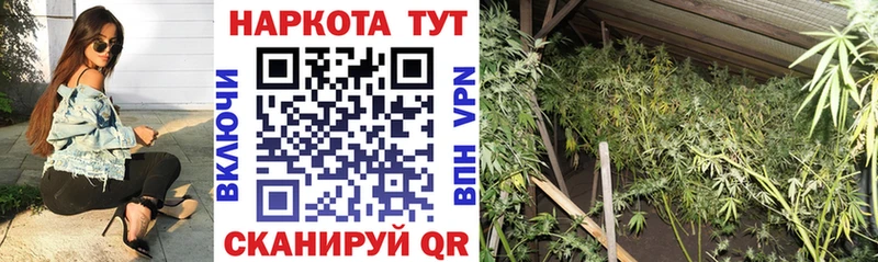 Купить закладку КОКАИН  Канабис  А ПВП  ГАШ  Галлюциногенные грибы  МЕФ  Зверево