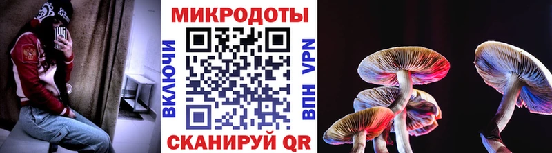Псилоцибиновые грибы Psilocybe  Купить закладки  Зверево 
